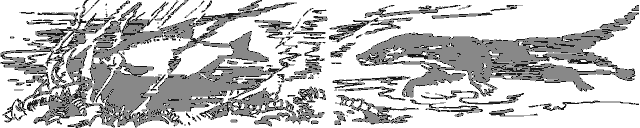 Рассказы о животных - i_014.png