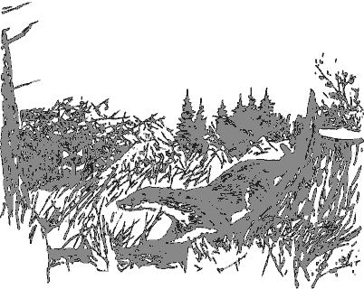 Рассказы о животных - i_017.png