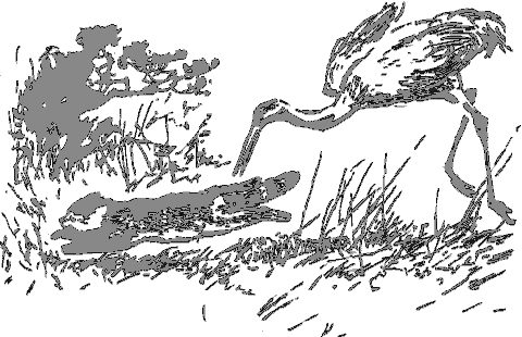 Рассказы о животных - i_037.png