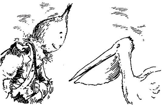 Чучело и его слуга - i_046.jpg