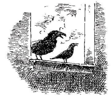 Чучело и его слуга - i_052.jpg