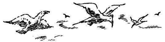 Чучело и его слуга - i_063.jpg