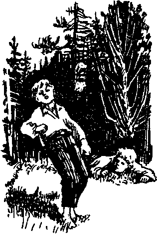 Петька Дёров(изд.1959) - i_013.png