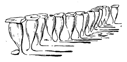 20 000 років під кригою - i_041.png