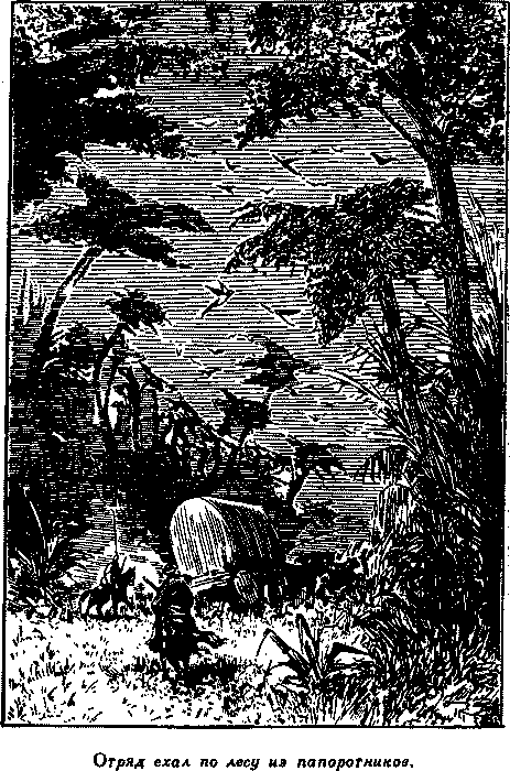 Дети капитана Гранта(изд.1955) - i_044.png