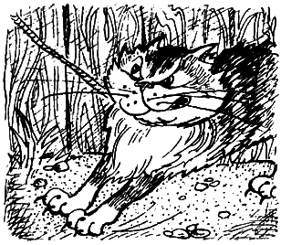 Кошки и шпионы - i_020.png