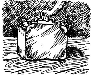 Кошки и шпионы - i_029.png