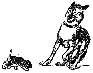 Карай. Сын Карая - Karai20m.png