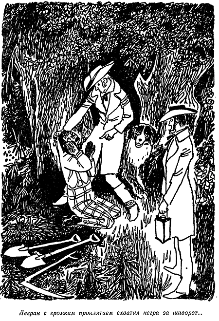 Золотой жук. Странные Шаги - i_004.png