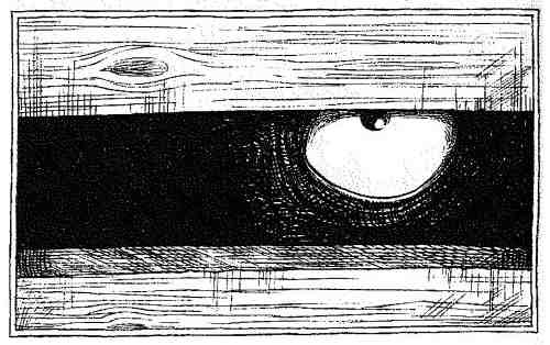 Опасный рейс - i_093.jpg