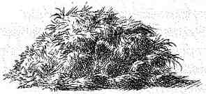 Опасный рейс - i_155.jpg