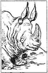 Опасный рейс - i_184.jpg