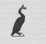 Ласточки и амазонки - i_043.jpg