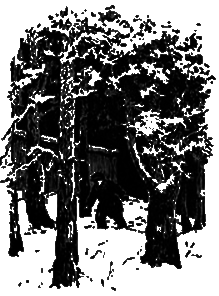 Шпага д’Артаньяна - i_016.png