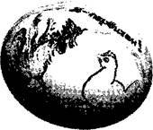 Не только депрессия: охота за настроением - i_037.jpg