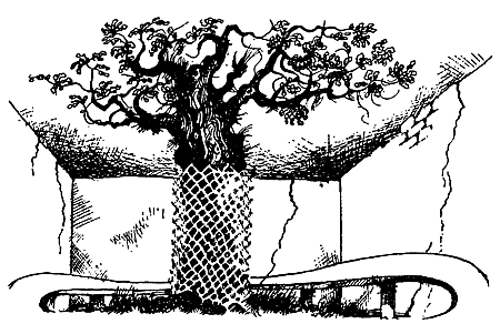 Ночная погоня(сборник) - i_007.png