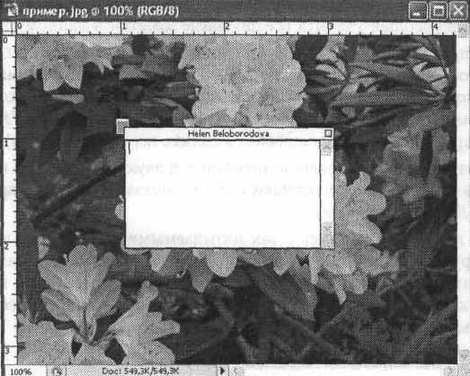 Photoshop CS2 и цифровая фотография (Самоучитель). Главы 10-14 - ris_10_14.jpg