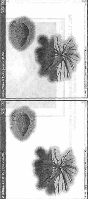 Photoshop CS2 и цифровая фотография (Самоучитель). Главы 10-14 - ris_11_1.jpg