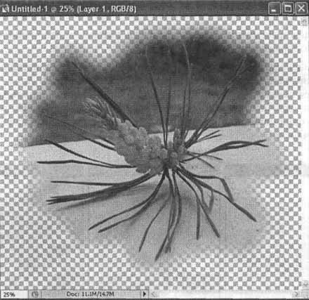 Photoshop CS2 и цифровая фотография (Самоучитель). Главы 10-14 - ris_11_7.jpg