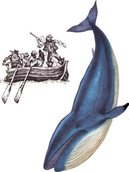 На волне Знаменитых Капитанов (с иллюстрациями) - i_172.jpg