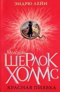 Серия книг Моло­дой Шерлок Холмс