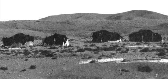 Шаманские техники личностных изменений. Опыт превращений - i_004.jpg