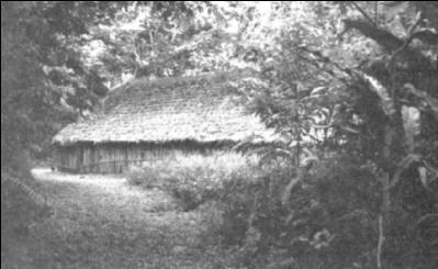 Шаманские техники личностных изменений. Опыт превращений - i_005.jpg