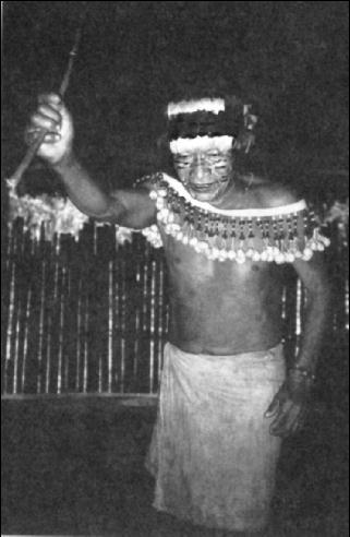 Шаманские техники личностных изменений. Опыт превращений - i_010.jpg