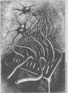 Журнал «Если», 2005 № 09 - pic_10.jpg