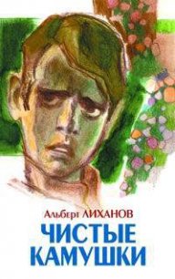 Чистые камушки - Лиханов Альберт Анатольевич