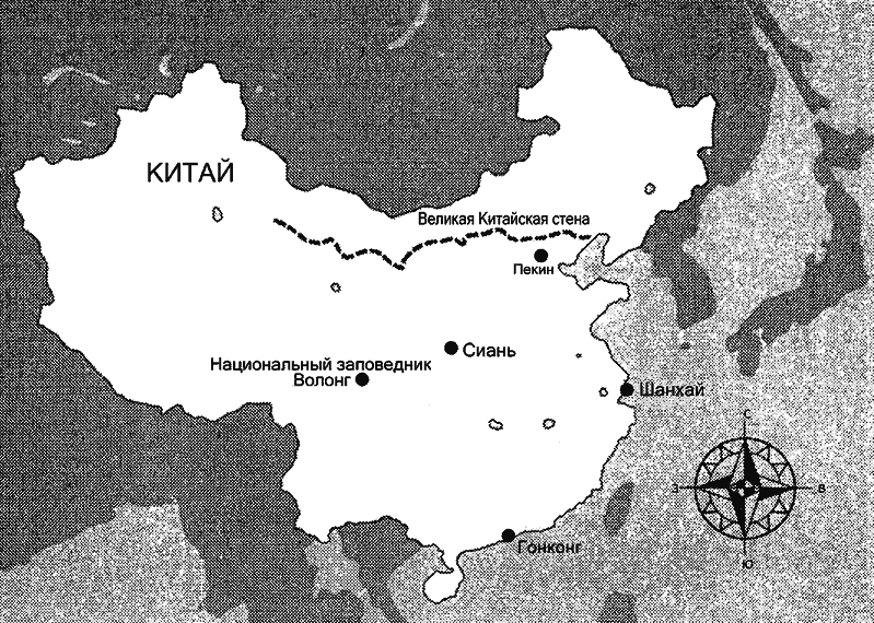 Секретный агент Джек Сталворт - i_004.png