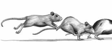 Дневник профессора Гаргульи - _3.jpg