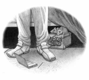 Дневник профессора Гаргульи - _8.jpg