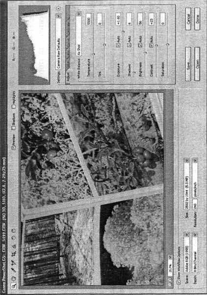 Photoshop CS2 и цифровая фотография (Самоучитель). Главы 1-9 - ris_4_4.jpg