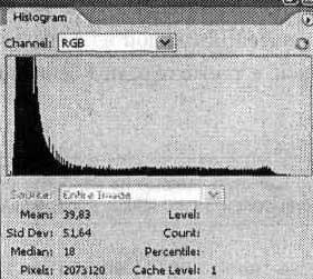 Photoshop CS2 и цифровая фотография (Самоучитель). Главы 1-9 - ris_9_14.jpg