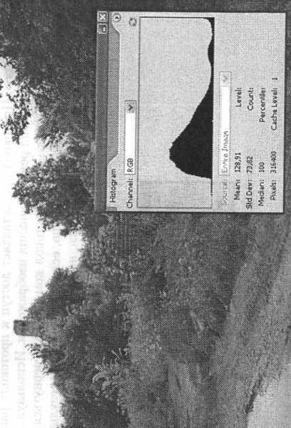 Photoshop CS2 и цифровая фотография (Самоучитель). Главы 1-9 - ris_9_16.jpg