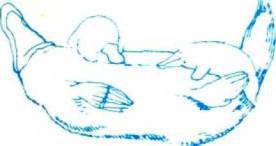 Мир животных Том 1 - i_011.jpg