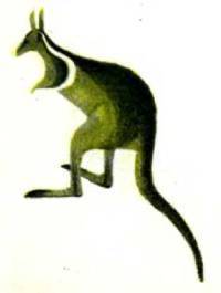 Мир животных Том 1 - i_030.jpg