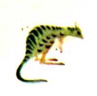 Мир животных Том 1 - i_031.jpg