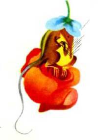 Мир животных Том 1 - i_038.jpg