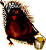 Мир животных Том 1 - i_071.jpg