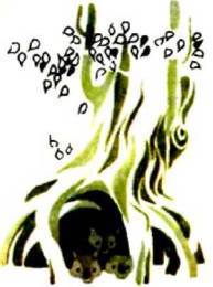 Мир животных Том 1 - i_098.jpg