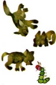 Мир животных Том 1 - i_099.jpg