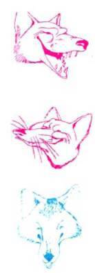 Мир животных Том 1 - i_103.jpg