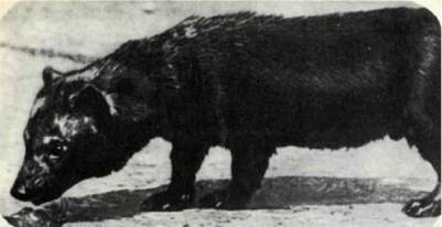 Мир животных Том 1 - i_122.jpg