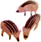 Мир животных Том 1 - i_138.jpg