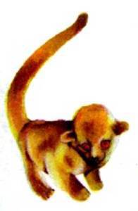 Мир животных Том 1 - i_157.jpg