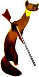 Мир животных Том 1 - i_162.jpg