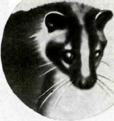 Мир животных Том 1 - i_196.jpg