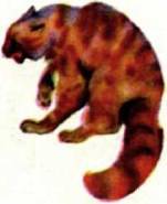 Мир животных Том 1 - i_243.jpg